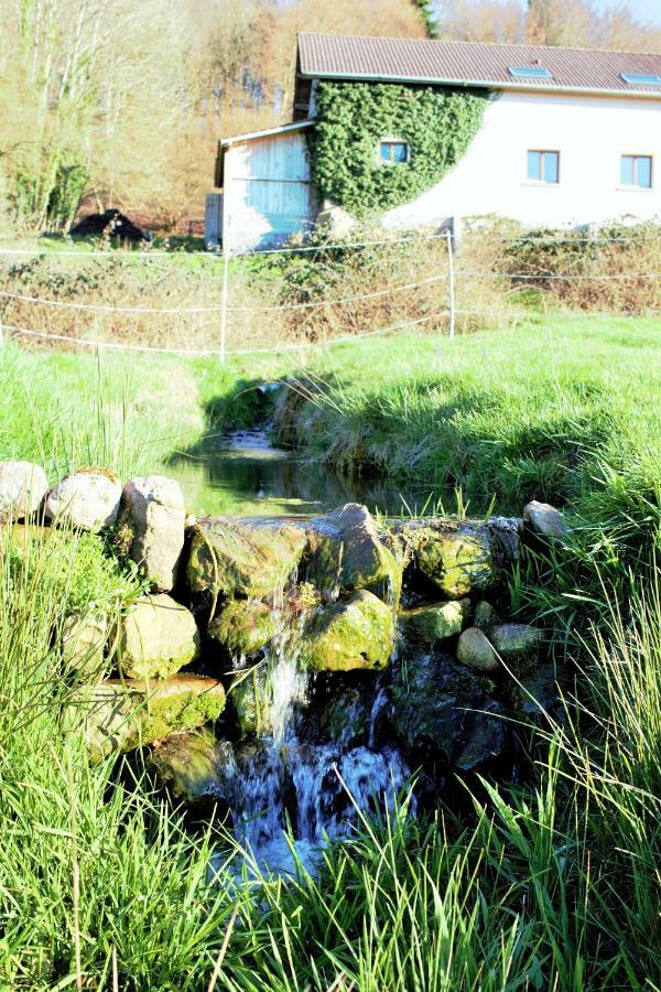 Au Temps De La Source Villa Raon-aux-Bois Exteriör bild